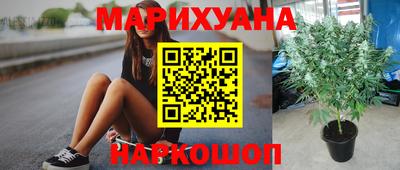 apvp Нягань